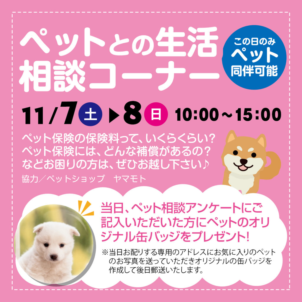 津山イーストランド住宅展示場では11/7（土）8（日）のペット相談アンケートにご記入いただいた方に、ペットのオリジナル缶バッジをプレゼントします🎁後日郵送になります。
