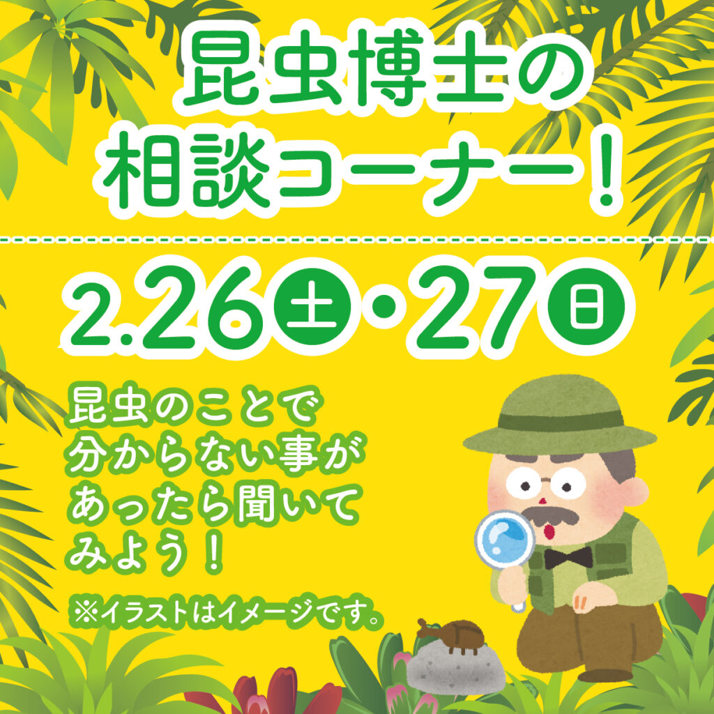 津山イーストランド住宅展示場で、2/26（土）27（日）限定で昆虫博士がやってきます！気になる事など、聞いてみよう😍