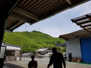 180426　ランチBBQ１１_R