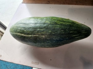 2022-08-18 09.08.42