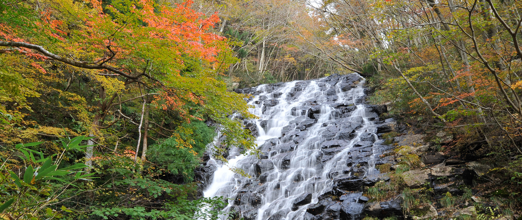 岡山県北イメージ