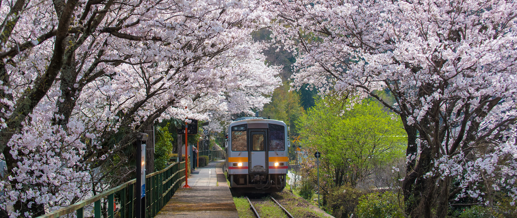 津山市三浦イメージ