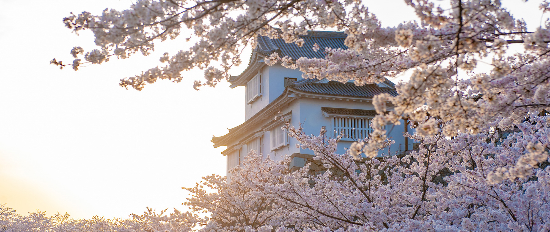 津山市山下